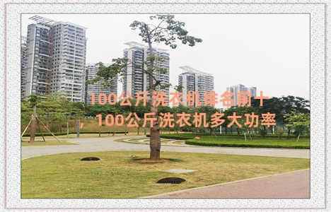 100公斤洗衣机排名前十，100公斤洗衣机多大功率