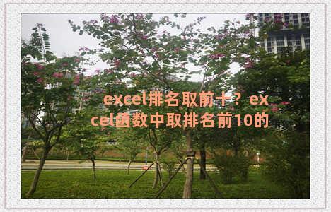 excel排名取前十？excel函数中取排名前10的