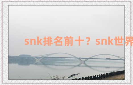 snk排名前十？snk世界排名