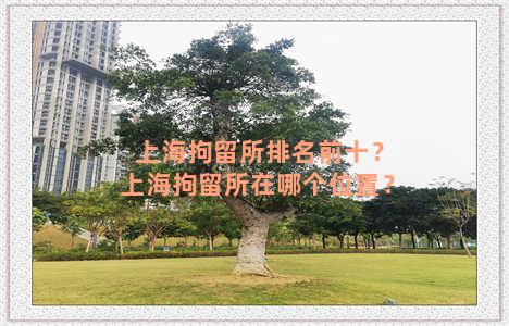 上海拘留所排名前十？上海拘留所在哪个位置？