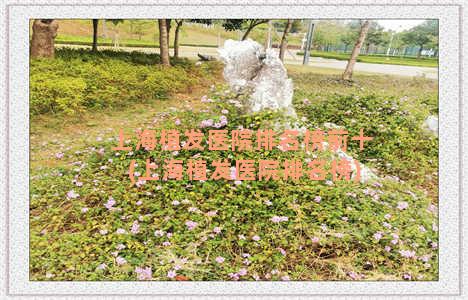 上海植发医院排名榜前十(上海植发医院排名榜)