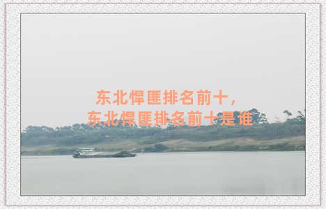 东北悍匪排名前十，东北悍匪排名前十是谁