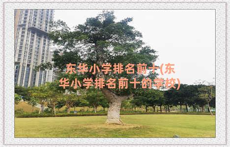 东华小学排名前十(东华小学排名前十的学校)