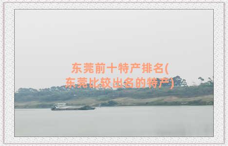 东莞前十特产排名(东莞比较出名的特产)