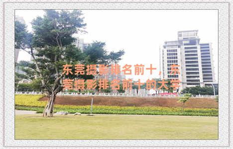 东莞摄影排名前十，东莞摄影排名前十的大学