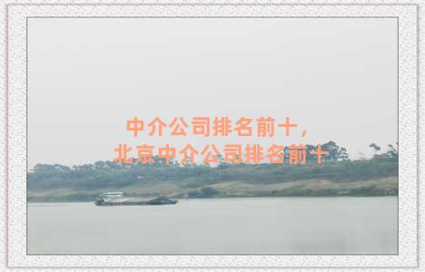 中介公司排名前十，北京中介公司排名前十