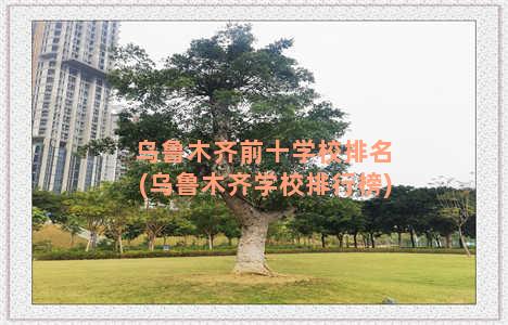 乌鲁木齐前十学校排名(乌鲁木齐学校排行榜)