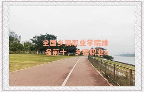 全国乡镇职业学院排名前十，乡镇职业a