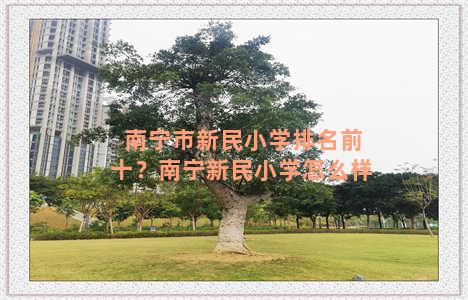 南宁市新民小学排名前十？南宁新民小学怎么样