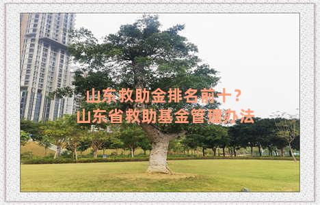 山东救助金排名前十？山东省救助基金管理办法