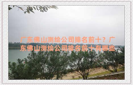 广东佛山测绘公司排名前十？广东佛山测绘公司排名前十有哪些