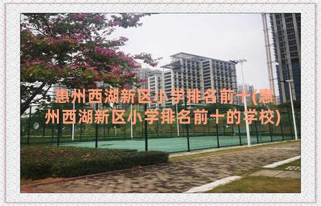 惠州西湖新区小学排名前十(惠州西湖新区小学排名前十的学校)