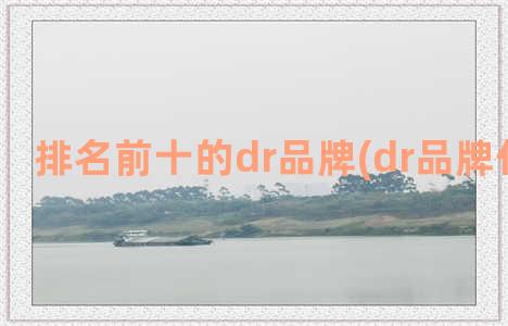 排名前十的dr品牌(dr品牌什么档次)