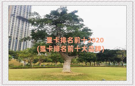 显卡排名前十2020(显卡排名前十大品牌)