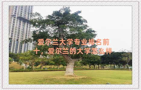 爱尔兰大学专业排名前十，爱尔兰的大学怎么样