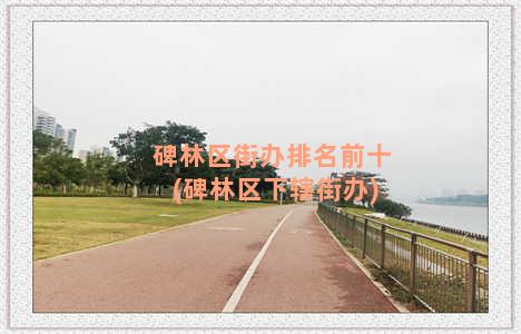 碑林区街办排名前十(碑林区下辖街办)