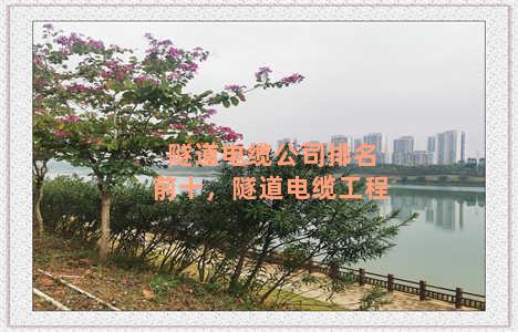 隧道电缆公司排名前十，隧道电缆工程